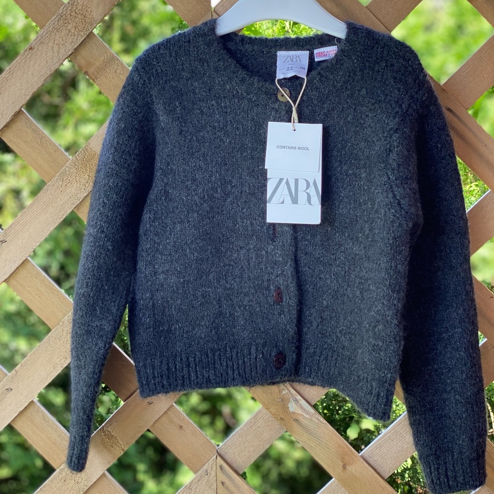 Zara Cardigan
